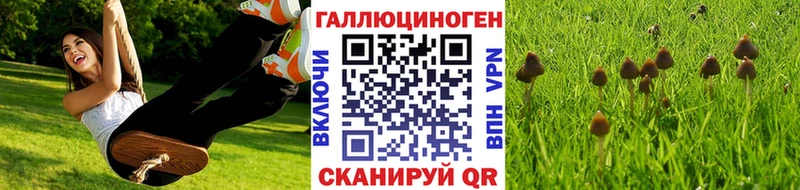 Псилоцибиновые грибы Cubensis  Нариманов 